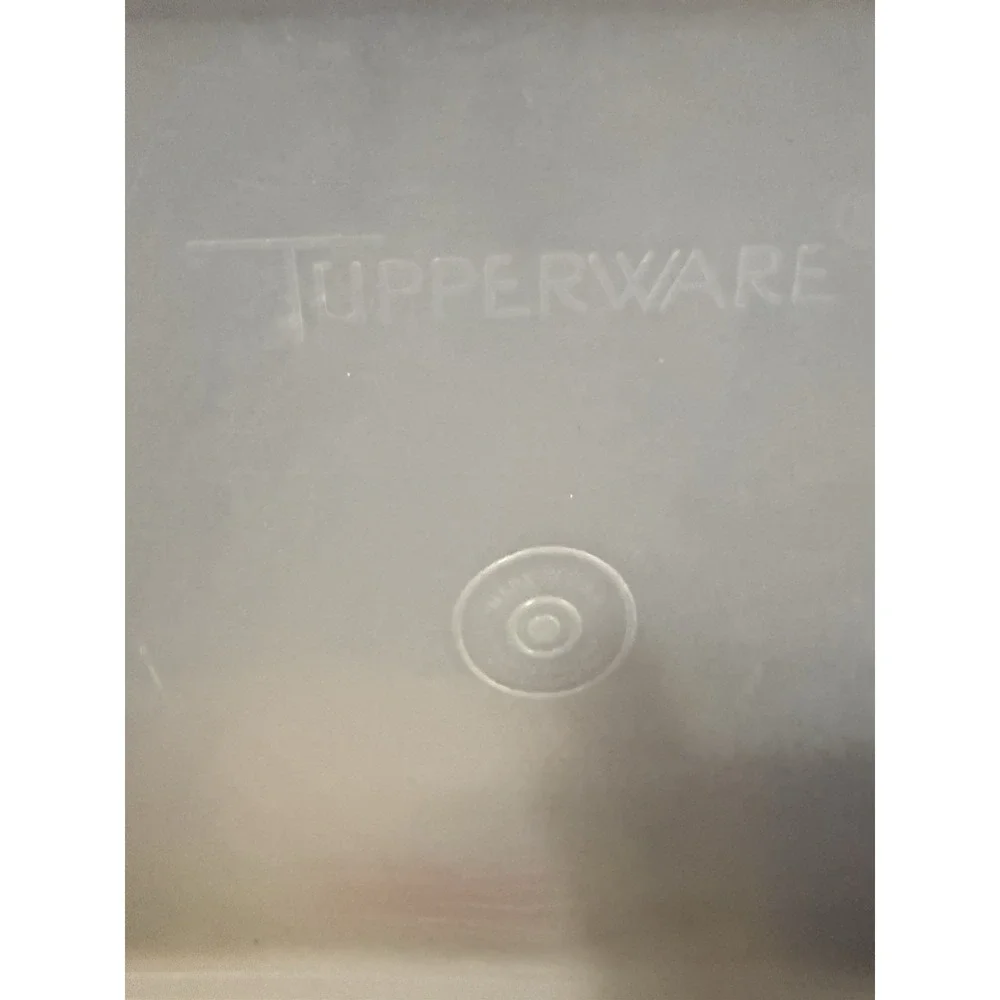 Vintage Tupperware 794-2 Bacon Deli Meat Keeper Container White Sheer Lid 795-20